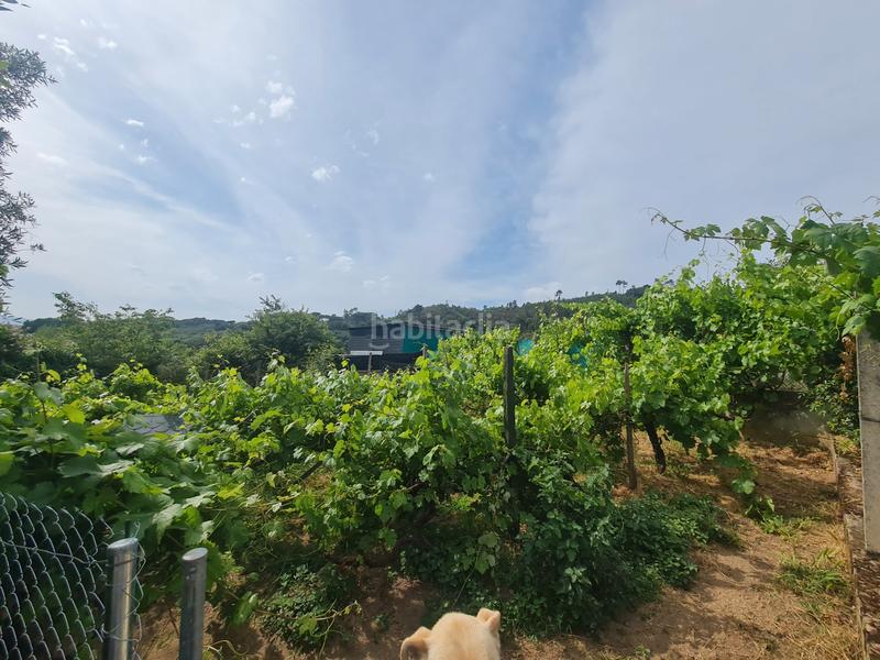 Foto 482e31e9-a13b-4834-9603-67c99614573b. Chalet en borraxeiras 3 vivienda en mende en As Lagoas Ourense