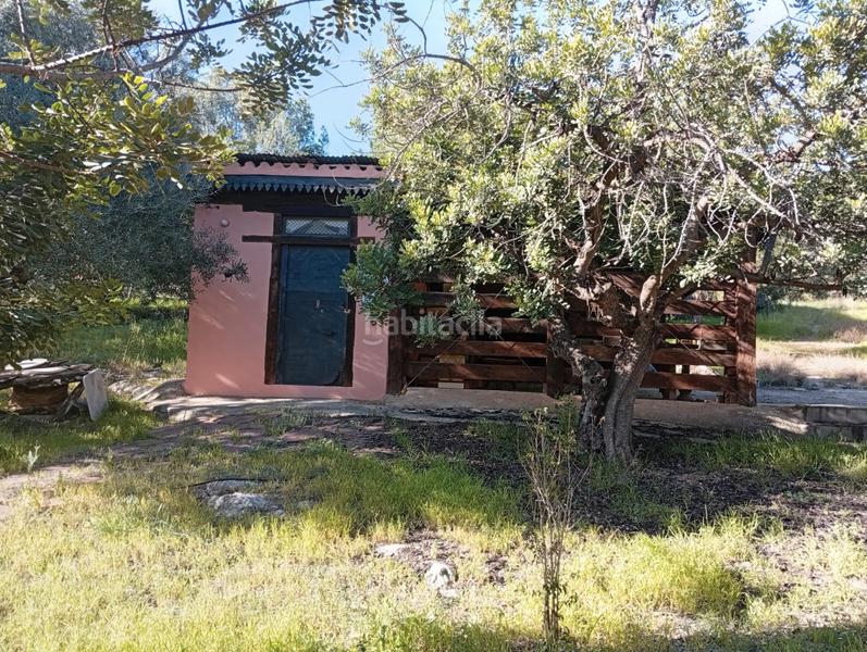 Foto 6ab3b5d5-c952-4598-8705-82013b0e6b92. Casa amb xemeneia aparcament a Ciutat del Transport - La Salera Castellón de la Plana