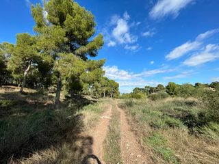 Terreny residencial  Calle del pino. La alberca, zona verdolay, cl.pino parcela exclusiva de 14.000 m