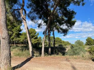 Residential Plot  Calle del pino. La alberca, zona verdolay, cl.pino parcela exclusiva de 14.000 m
