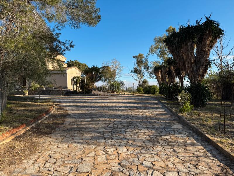 Foto 37ab1e7f-7f2a-4453-a425-fd6457d917b9. Chalet in calle de la luz 62 in Santo Angel Murcia