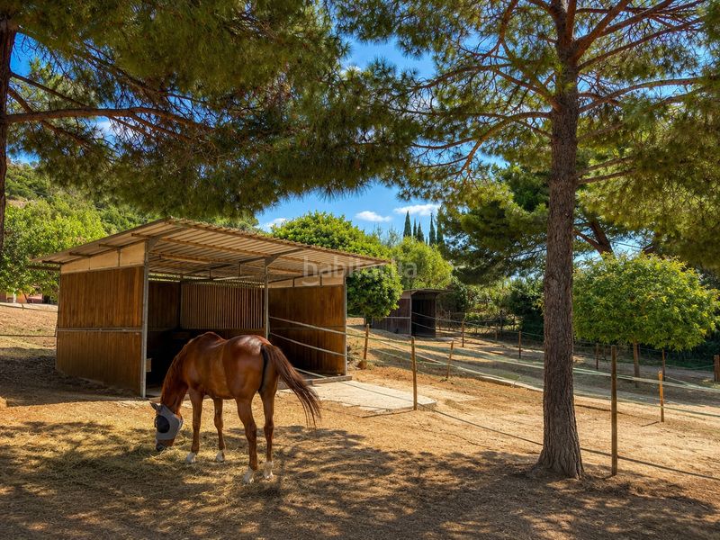 Foto 95ff3bf3-75df-4e96-b473-c4f40d6703eb. Country house in veïnat de sant jaume de traià 17 in Argentona