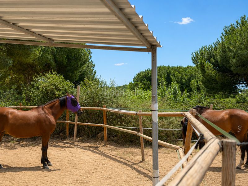 Foto ffa5820b-e69b-460b-a6cc-ddd388170bef. Country house in veïnat de sant jaume de traià 17 in Argentona