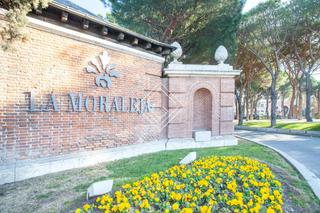 Chalet in Urbanización La Moraleja