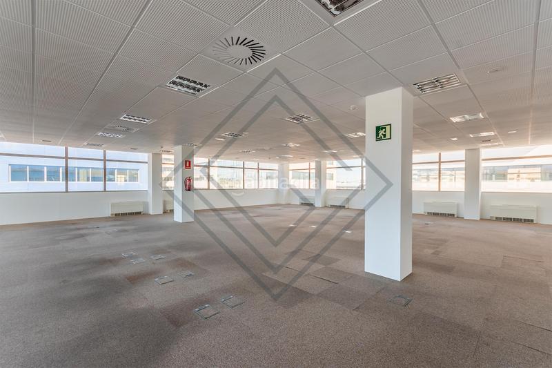 Foto cd64b8e1-7ae4-4fc2-9e31-3369ba1da512. Oficina en Aeropuerto Madrid