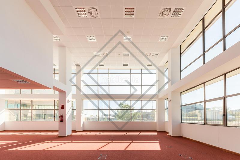 Foto 02e799c3-beed-4ab0-a0c4-a358d70cfaf6. Ufficio in Aeropuerto Madrid