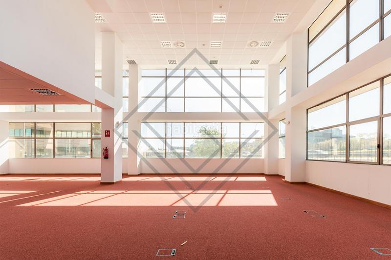 Foto 3219a29c-c10b-4d9a-921f-fc71a819142f. Ufficio in Aeropuerto Madrid