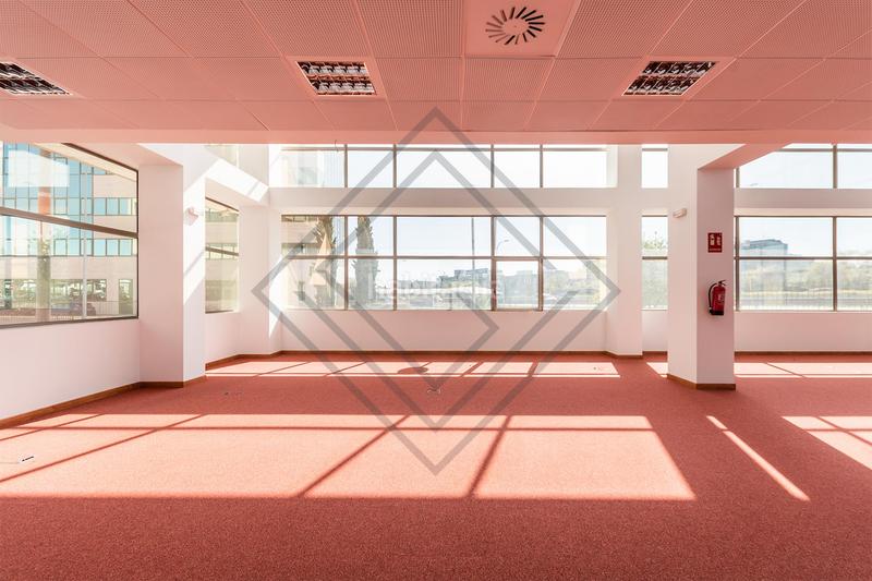 Foto b1dfa6f3-8c59-4d5e-8201-2a19d6e5d93c. Ufficio in Aeropuerto Madrid