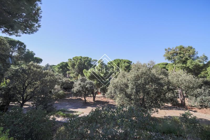 Foto 74b53ea1-95a3-4e5f-a5b3-d1607fedf8f5. Chalet mit pool in Prado Largo Pozuelo de Alarcón