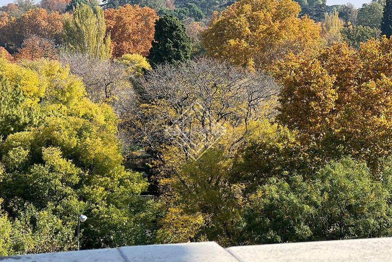 Foto 96658677-24d0-42cc-943c-9f7e8ead3baa. Piso en Cortes-Huertas Madrid