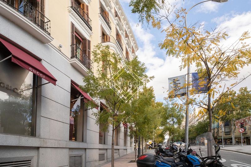 Foto 940b157a-b0a5-497b-a1c3-55e8b16b9e78. Àtic amb xemeneia calefacció aparcament a Castellana Madrid