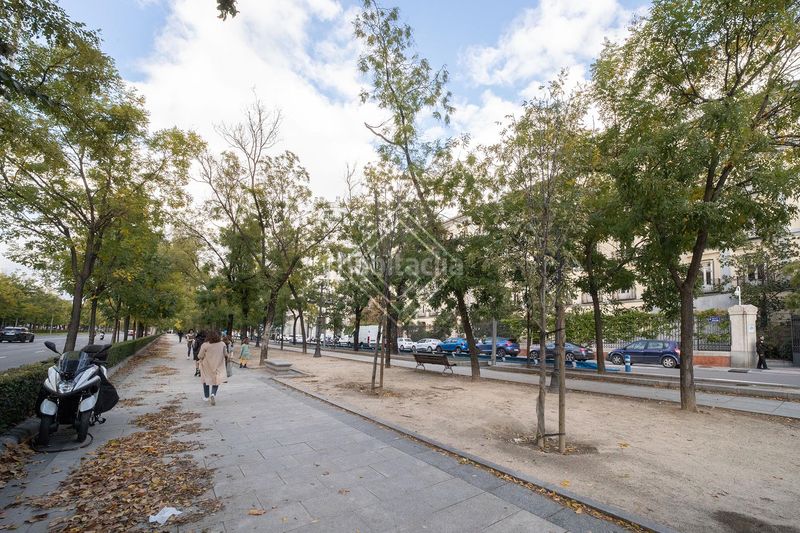 Foto dafdb0d4-a22d-421e-86c1-5b30d613baac. Àtic amb xemeneia calefacció aparcament a Castellana Madrid