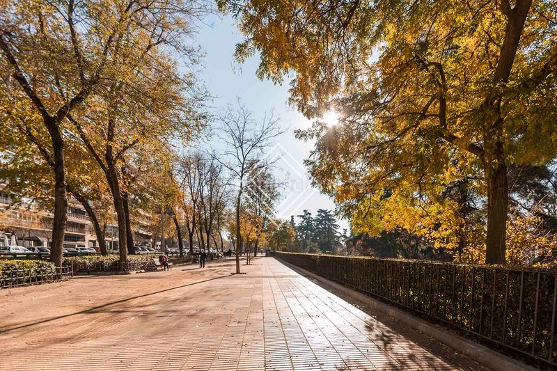 Foto 0d8c1719-3ad4-4965-85b1-36a1f784cbd8. Pis a Argüelles Madrid