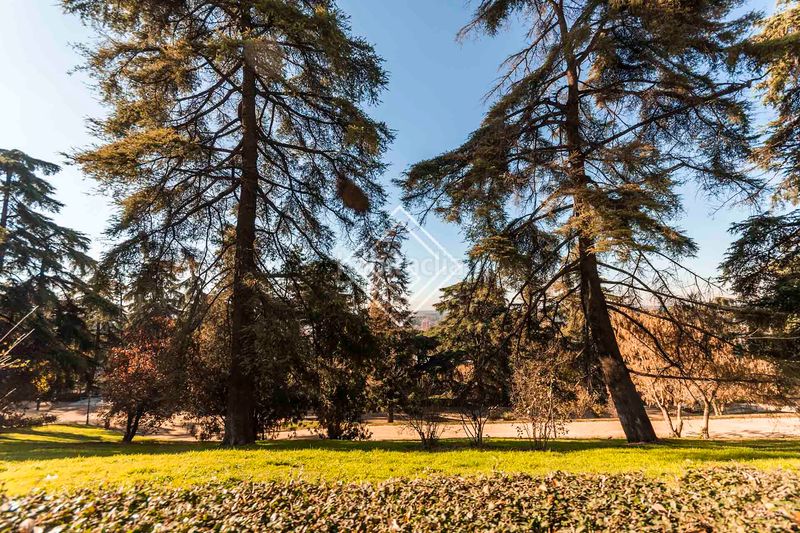 Foto 3b59515f-6151-4684-88b2-6352c4bd5b55. Pis a Argüelles Madrid