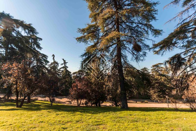 Foto 3d3fc145-ee6a-4eb5-a670-8d9597f2ee01. Pis a Argüelles Madrid