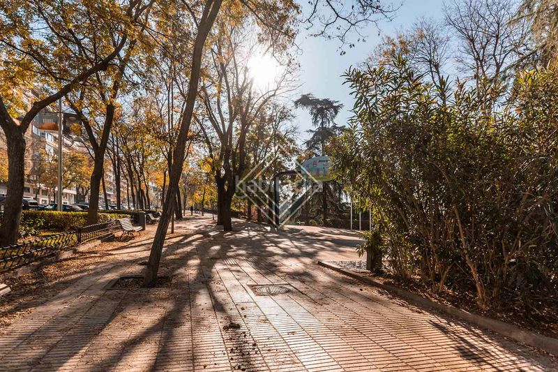 Foto 410ea9f6-1270-4ea8-8643-aa5d3a1c960d. Pis a Argüelles Madrid