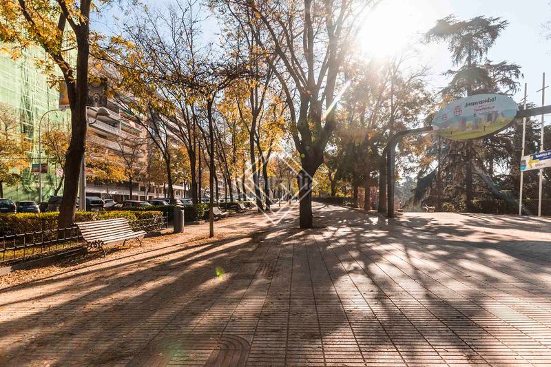 Foto 8004cdd4-2f25-40ff-864a-ba578322eb1e. Pis a Argüelles Madrid