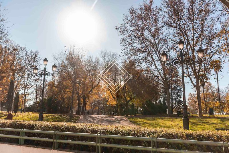 Foto a25e2908-0270-4121-88d3-c93dbb3034cc. Pis a Argüelles Madrid