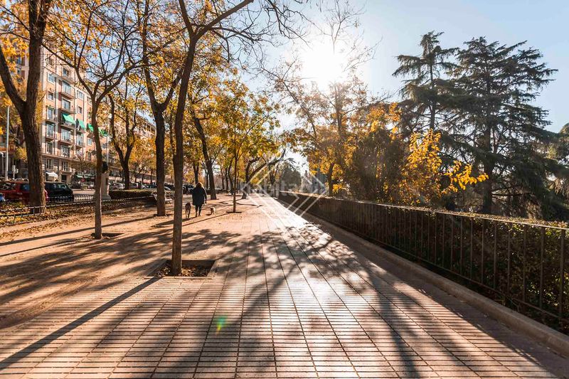 Foto ae6493e3-ac08-4356-bab5-5b949346016b. Pis a Argüelles Madrid