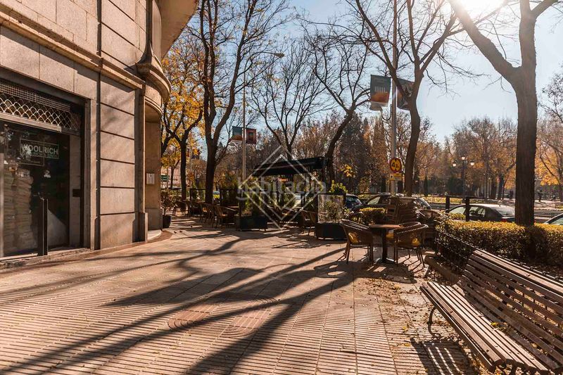 Foto f538db5e-02c2-4165-ae5c-0dd05e7ffd77. Pis a Argüelles Madrid