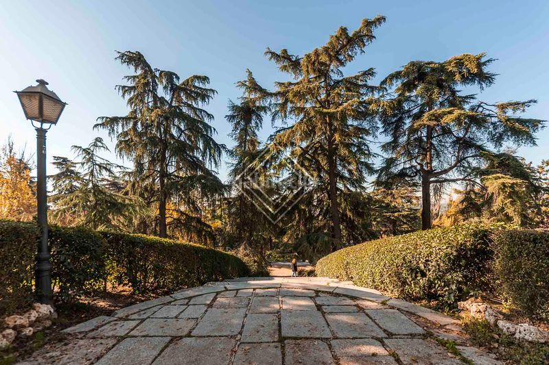 Foto ffcfe003-8b2d-4201-8686-6feaff2512bd. Pis a Argüelles Madrid