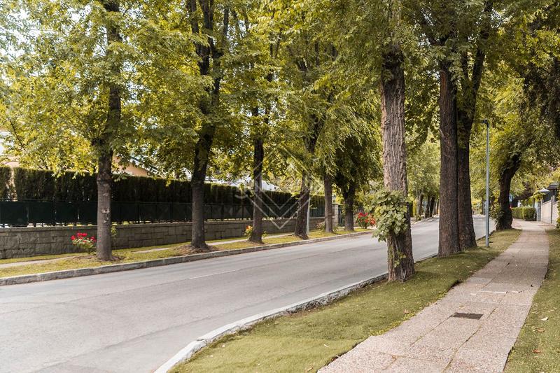 Foto d1852ea7-af23-42eb-9716-55c5fecc928a. Casa a Ciudad Universitaria Madrid