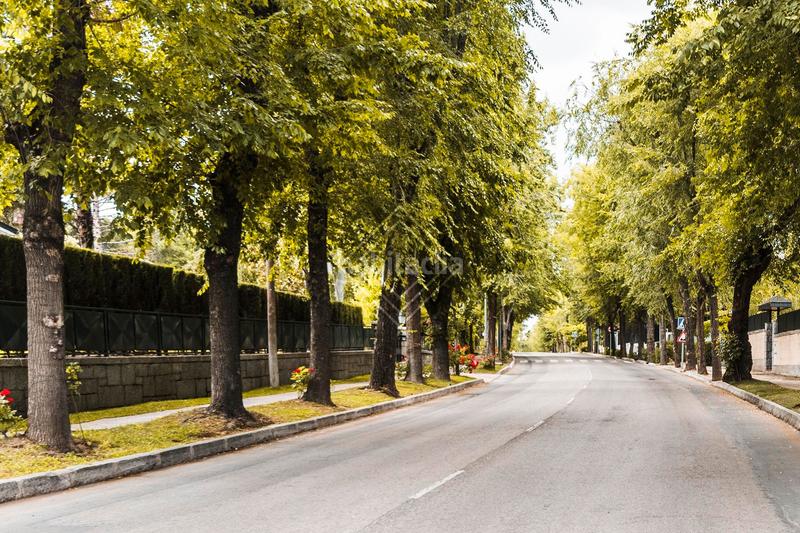 Foto d34a6074-14d9-407e-85d4-f4f2165eb809. Casa a Ciudad Universitaria Madrid