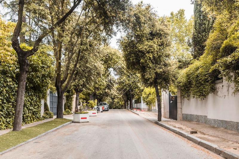 Foto f776a981-1f3c-4082-91d9-224f713f149f. Casa a Ciudad Universitaria Madrid