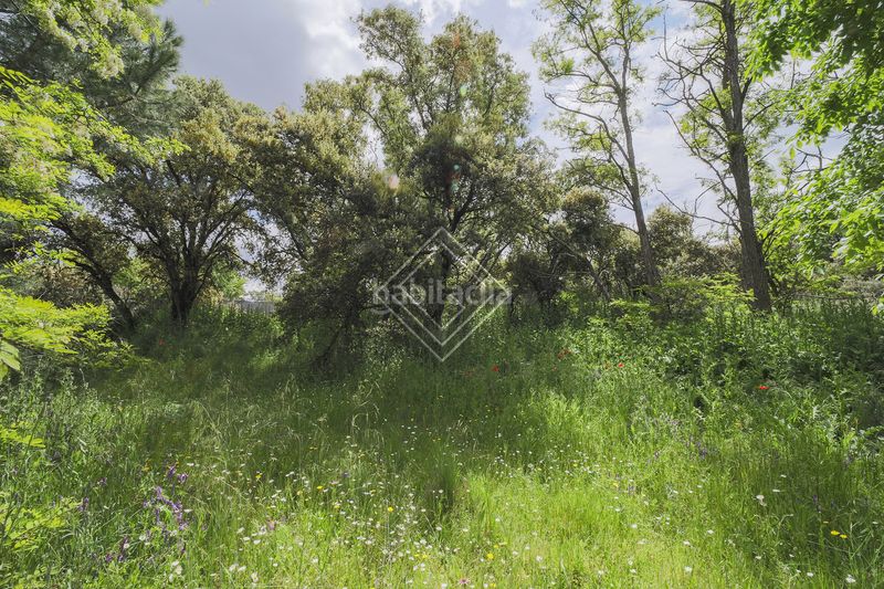 Foto 5a791d03-c90c-4a6e-a23d-b74b28f320b1. Terreny residencial a La Florida - El Plantío Madrid