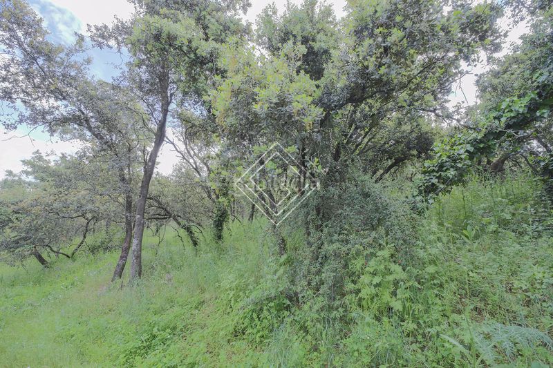 Foto d66348fa-7450-4ad8-9fd3-bfaa751bef71. Terreny residencial a La Florida - El Plantío Madrid
