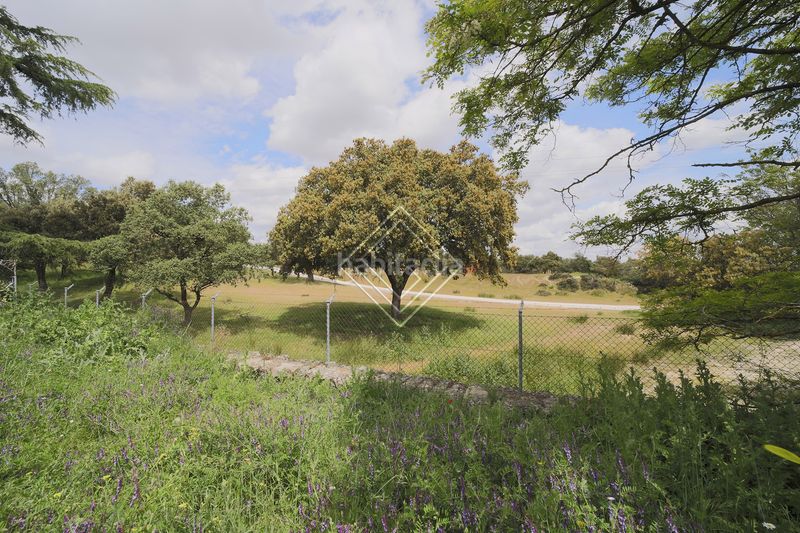 Foto daf5c09d-9627-4a22-a6dc-dcd47326a399. Terreny residencial a La Florida - El Plantío Madrid