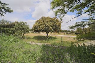 Wohngrundstück  Calle de guecho