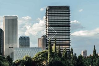 Office space in Paseo de la Castellana