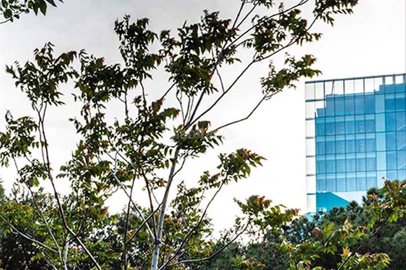 Foto 081021b7-d120-49f7-9e2b-6255e5911846. Miete büro mit heizung in Castilla Madrid