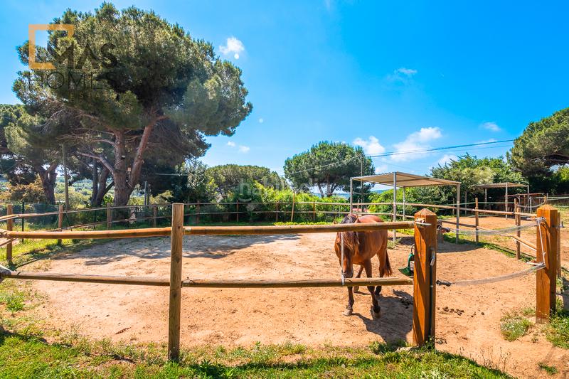 Foto 217760a4-e13b-41aa-ab5c-302f521152e7. Casa en Cerdanyola Sud Mataró