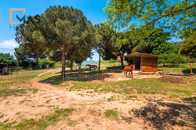 Foto 72c12d22-0fe9-44a5-ac72-79c2b6782e92. Casa en Cerdanyola Sud Mataró