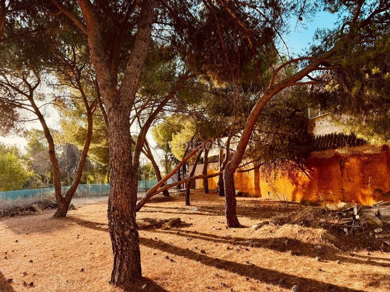 Foto 2c2c9b32-b108-45fd-a6fe-c5888048919c. Terreny residencial a Marazuela-El Torreón Rozas de Madrid (Las)