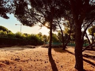 Terreny residencial  Calle del alto de las cabañas. Terreno en venta en la urbanización marazuela