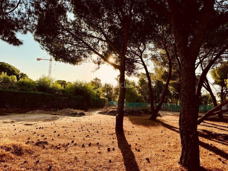 Foto 41bf9631-0a8d-4b33-b267-46d2b17dd975. Terreny residencial a Marazuela-El Torreón Rozas de Madrid (Las)