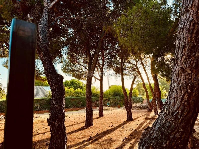 Foto f187e7b6-a19a-458d-a6a9-7459d8208f1b. Terreny residencial a Marazuela-El Torreón Rozas de Madrid (Las)