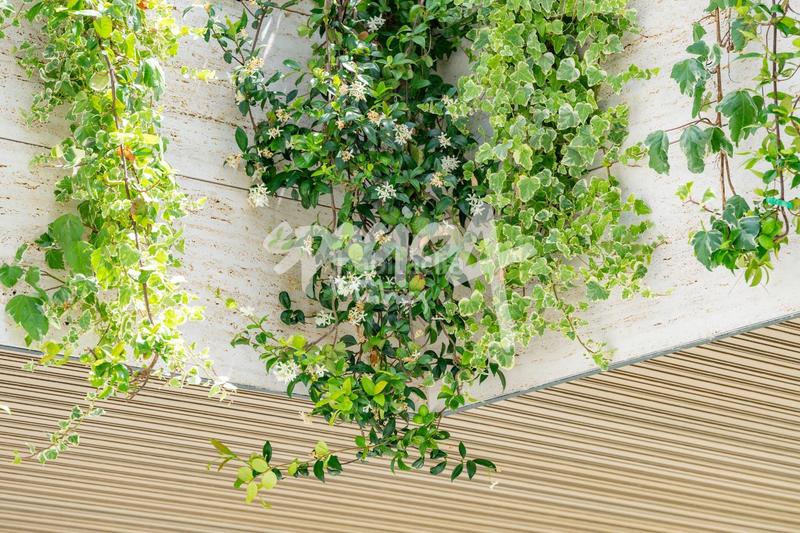 Foto 3bdab0f5-e6be-42cc-87a9-23fa5c041b2c. Chalet mit pool in Las Lomas Boadilla del Monte