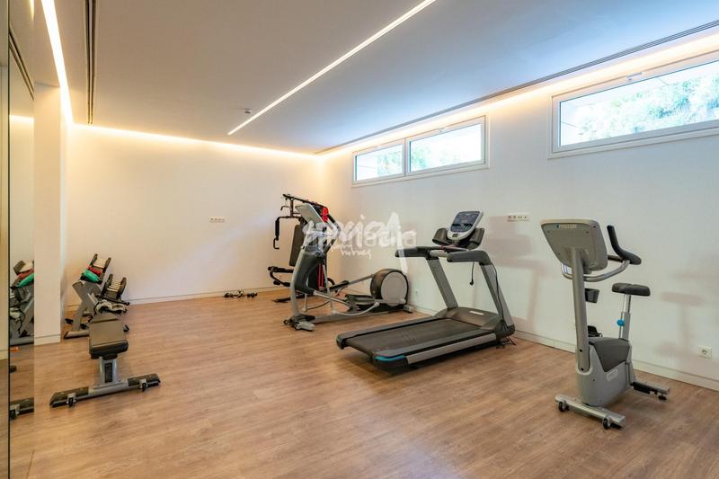 Foto 8a2fd8ee-9500-4f60-ab57-399dda1943db. Planta baixa a Prado de Somosaguas Pozuelo de Alarcón