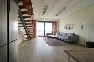 Loft  M-40. Imagen corporativa y funcionalidad en ventorro del cano