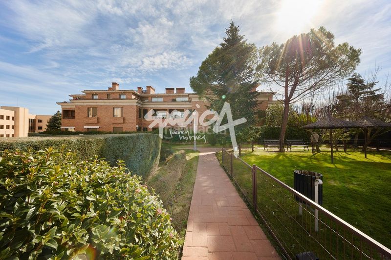 Foto 83d26b41-862d-4724-a370-2f1a364a107c. Pis amb calefacció aparcament piscina a El Pinar-Punta Galea Rozas de Madrid (Las)