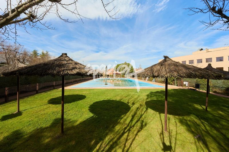 Foto cc6b6a28-76a7-45b6-b035-e2bc6335a020. Pis amb calefacció aparcament piscina a El Pinar-Punta Galea Rozas de Madrid (Las)