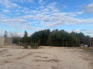 Finca rústica a El Llano. Parcela huerta llano de molina
