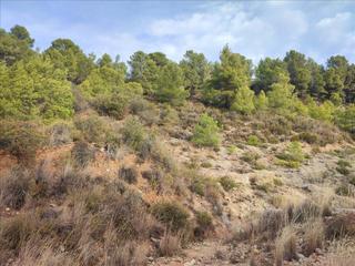 Residential Plot in De la balsa roja