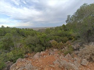 Rural plot in Tosal de les colmenes, poligono 3;prc13. Terreno ubicado en la localidad de ràfol dalmúnia