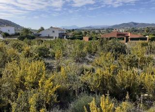 Terreny residencial en Pinomar, 85 85. Parcelas urbanizables en venta en pinomar  jveaxbia