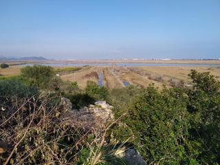 Fondo rustico in Devessa - Monte Pego. Parcela urbana en dénia con gran potencial  plan parcial monte p